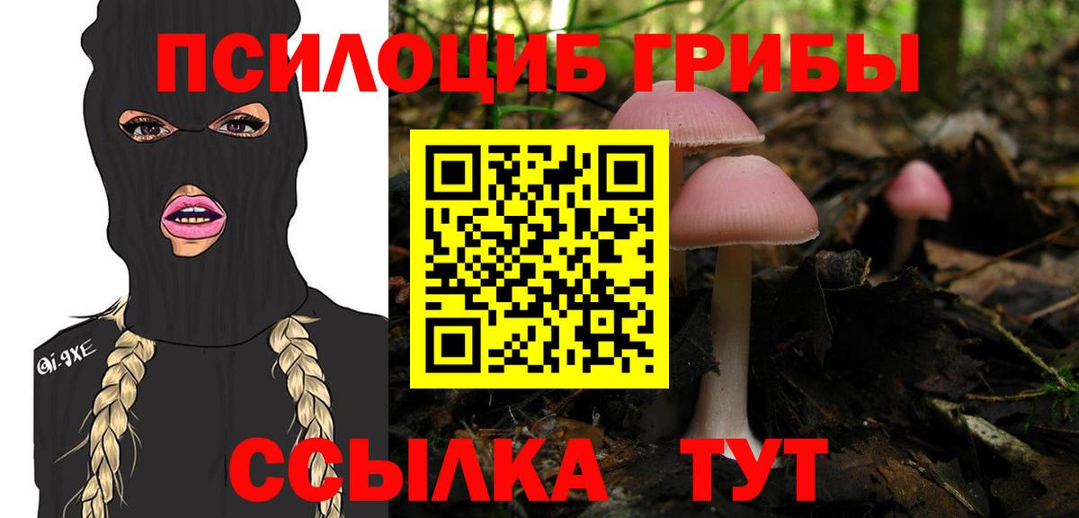 Галлюциногенные грибы MAGIC MUSHROOMS  Вход с VPN  Самара 